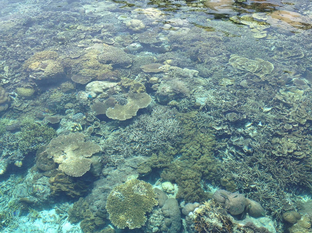 Papua Scuba-Waisai必去景点