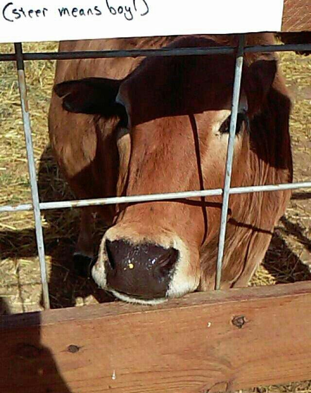 Stade's Farm and Market-McHenry必去景点