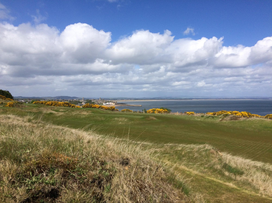 The Castle Course, St. Andrews Links景点图片
