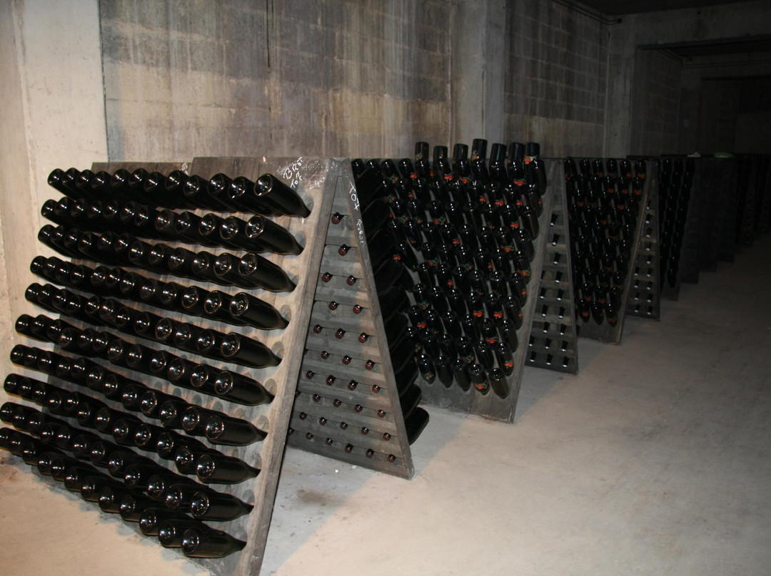 Champagne Banette-Tauxieres-Mutry必去景点