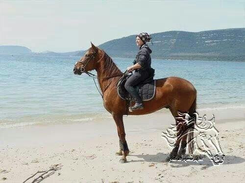 Agripark-阿尔盖罗必去景点