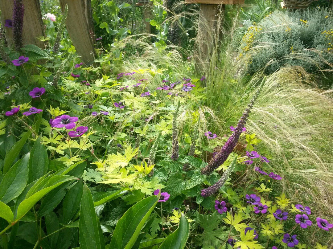 Les Jardins Des Hurlevents景点图片