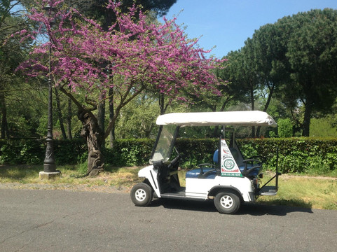 Freeway-Car-罗马必去景点