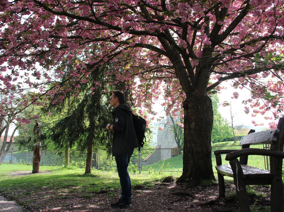 Vysehrad Park-布拉格必去景点