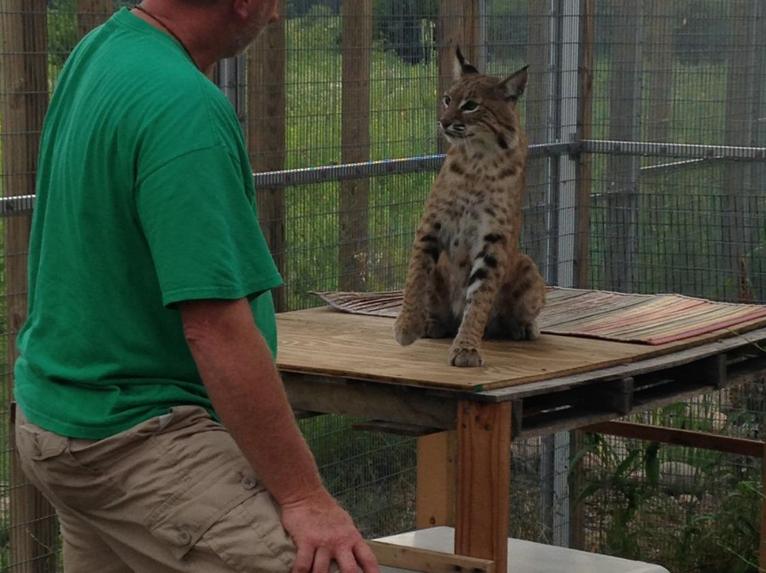 Wildlife Discovery Center-Lake Forest必去景点