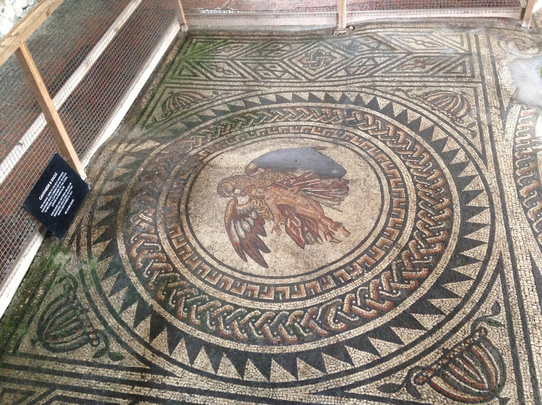 Bignor Roman Villa景点图片