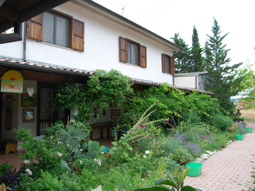 Civitella Casanova旅游攻略图片