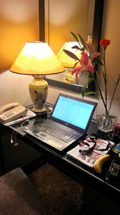 华美达长升大酒店-客卧