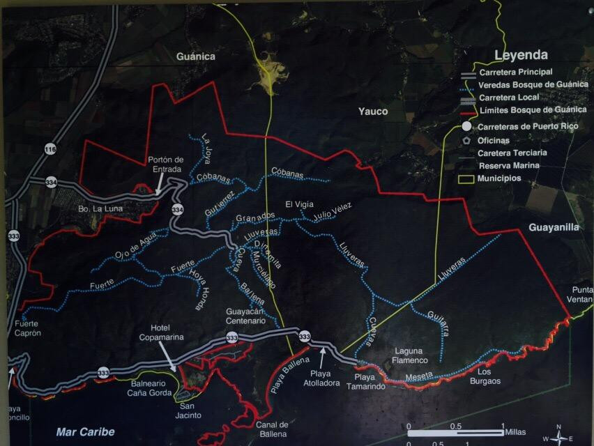Bosque Estatal de Guánica景点图片