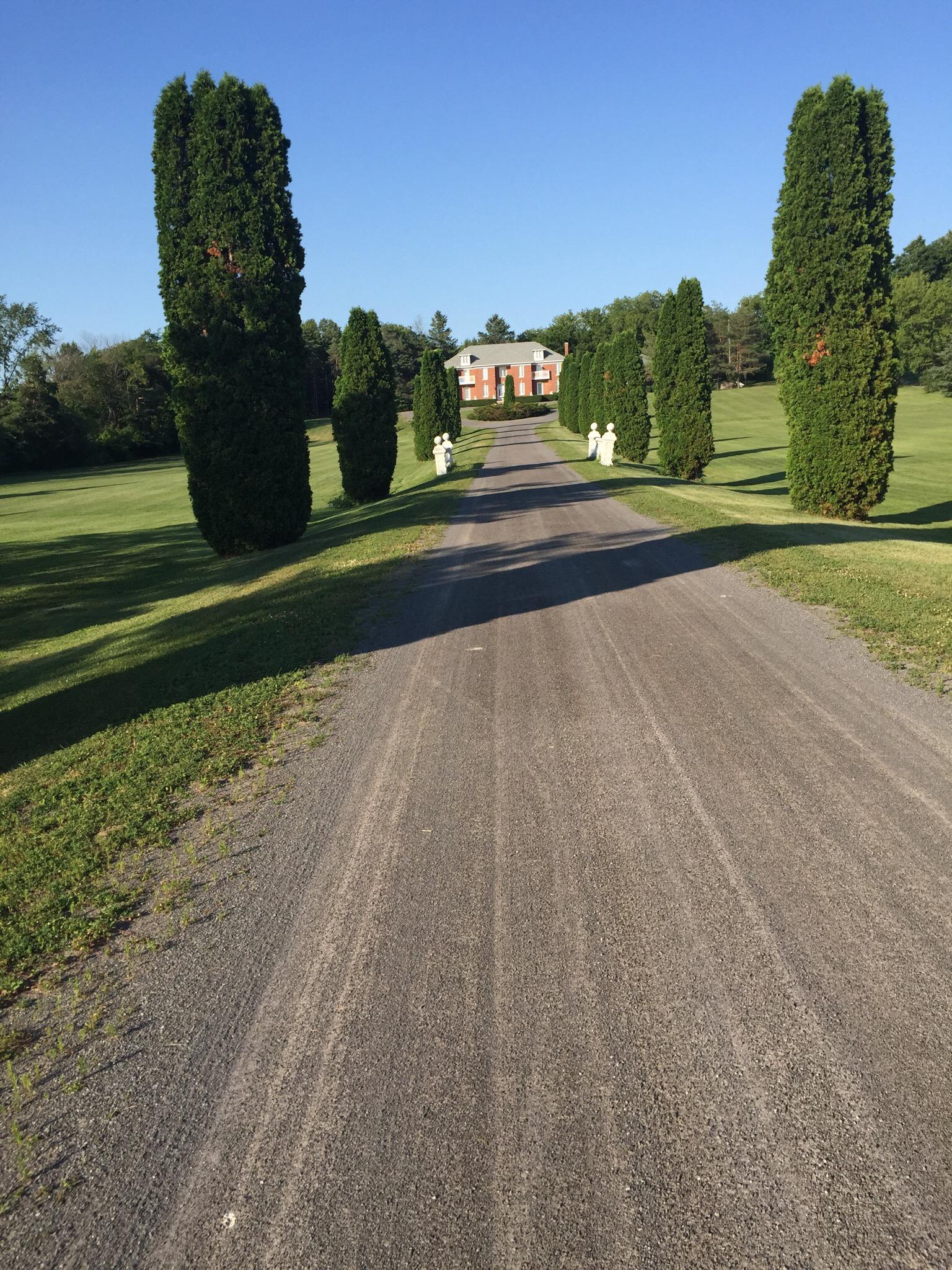 Olde Virginia Manor Bed & Breakfast-客卧