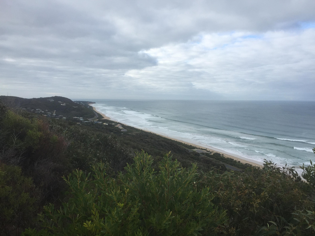 Moggs Creek Lookout-Moggs Creek必去景点