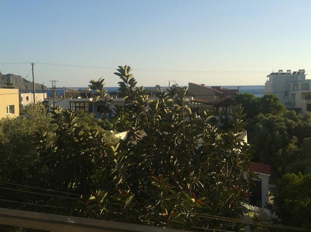 Stella Studios主图