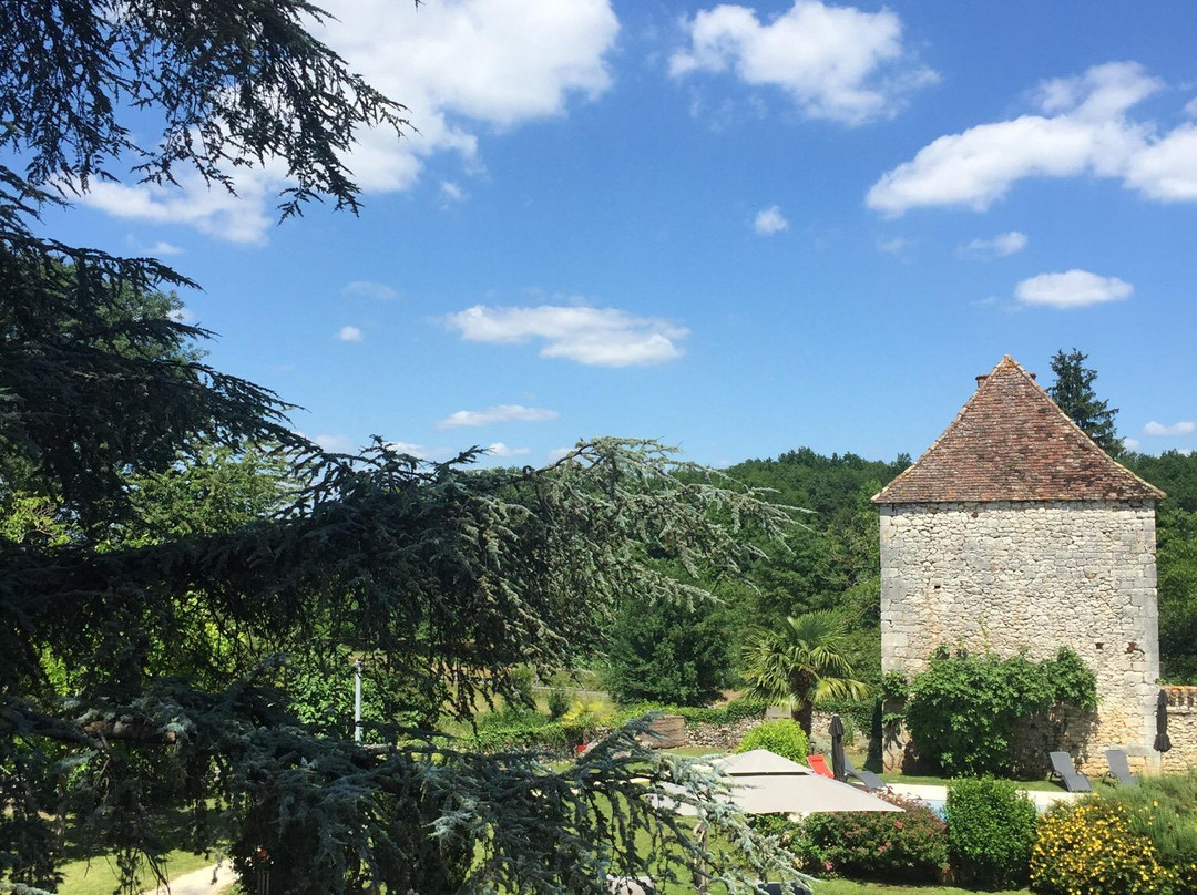 Le Grand Cedre