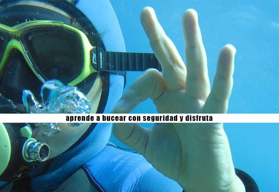 Piscis Diving景点图片