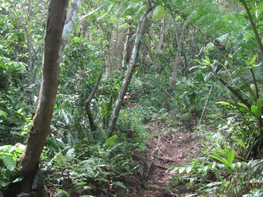 Mt. Cadig-Labo必去景点