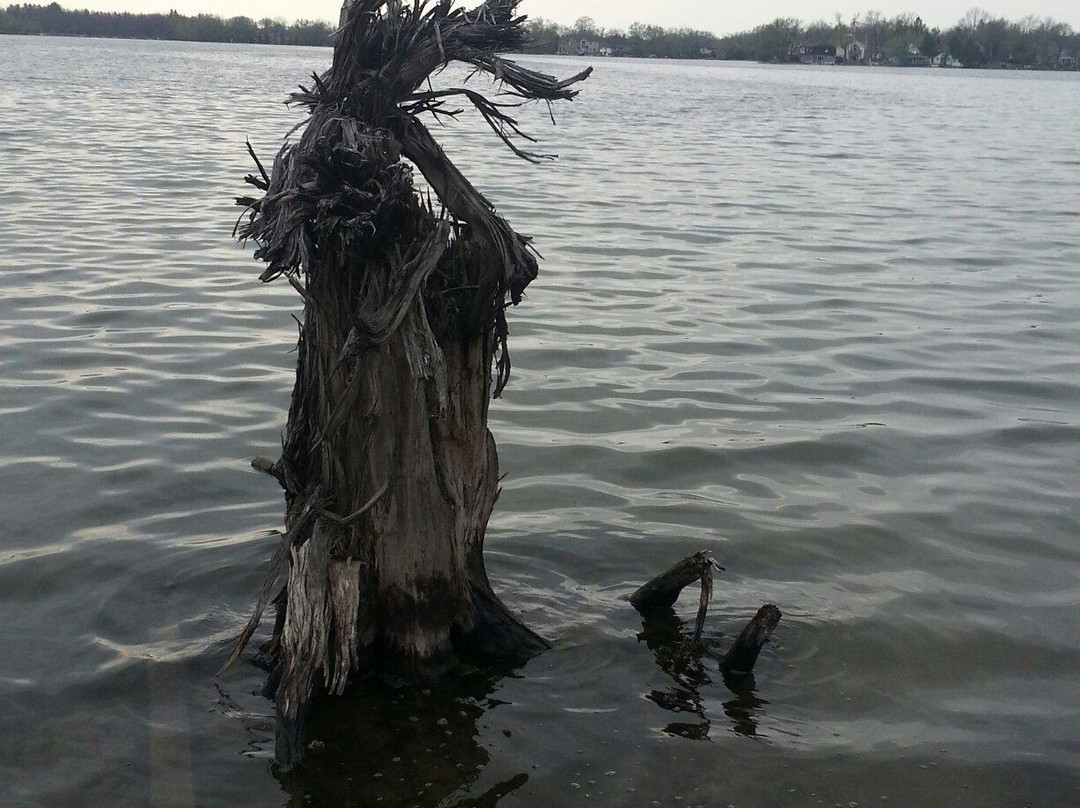 Wilcox Lake景点图片