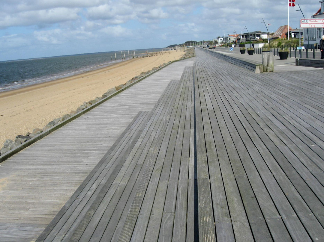 Hjerting Strand-艾斯堡必去景点