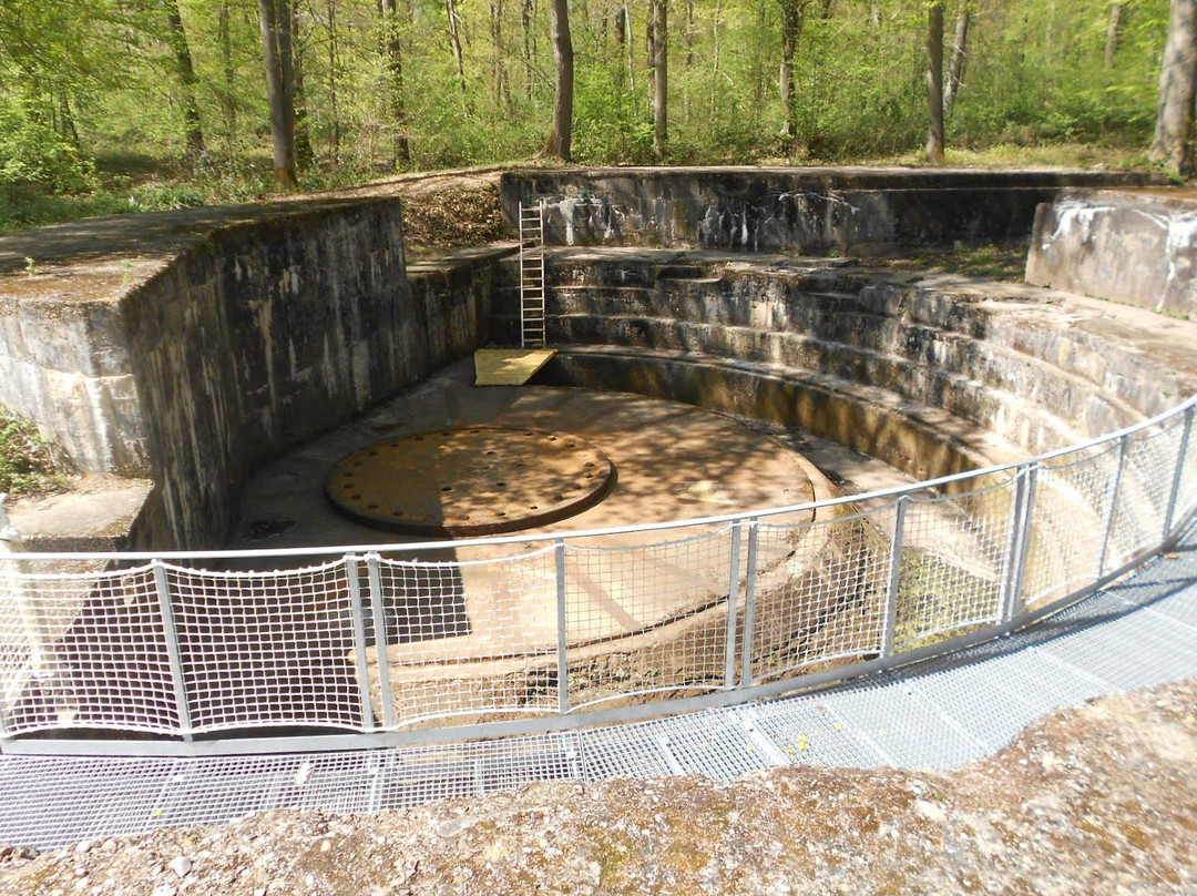 Le Canon de Coucy-Coucy-le-Chateau-Auffrique必去景点