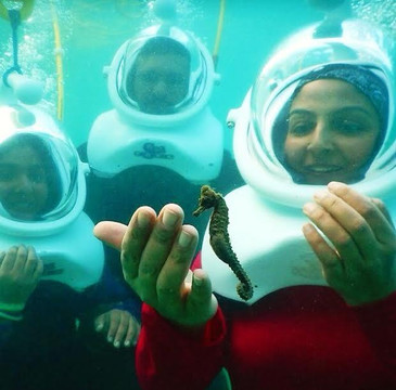 Aqua Adventure-圣胡安必去景点