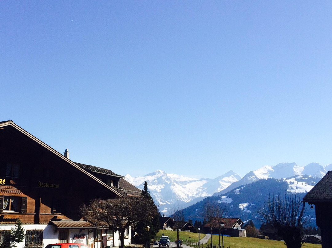 Schonried酒店住宿-Boutique-Hotel Alpenrose