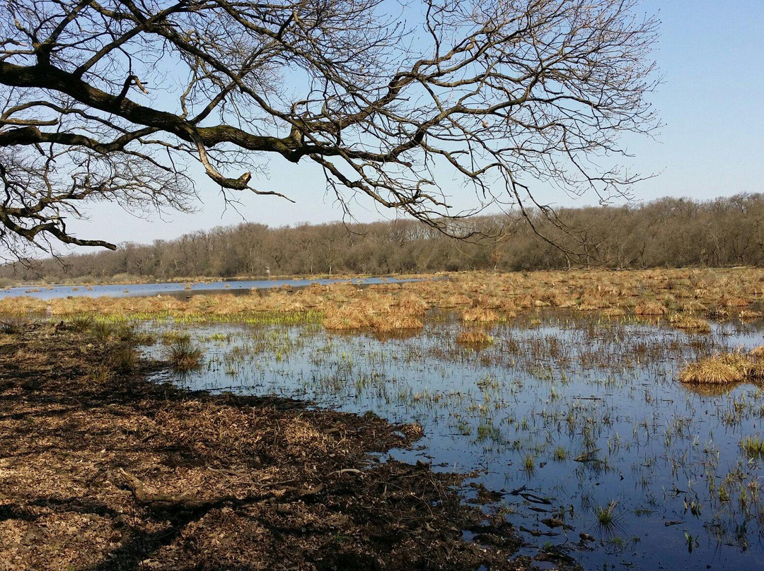 Regional Park Gornje Podunavlje景点图片