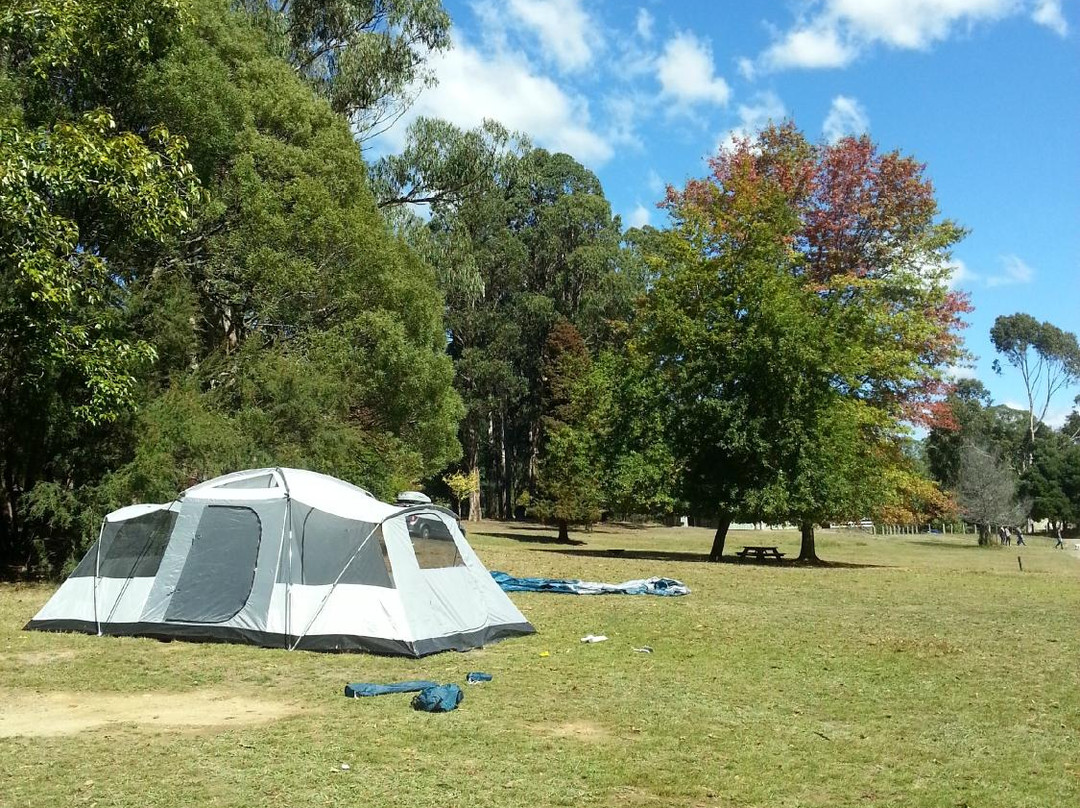 Upper Yarra Reservoir Park Camping Area
