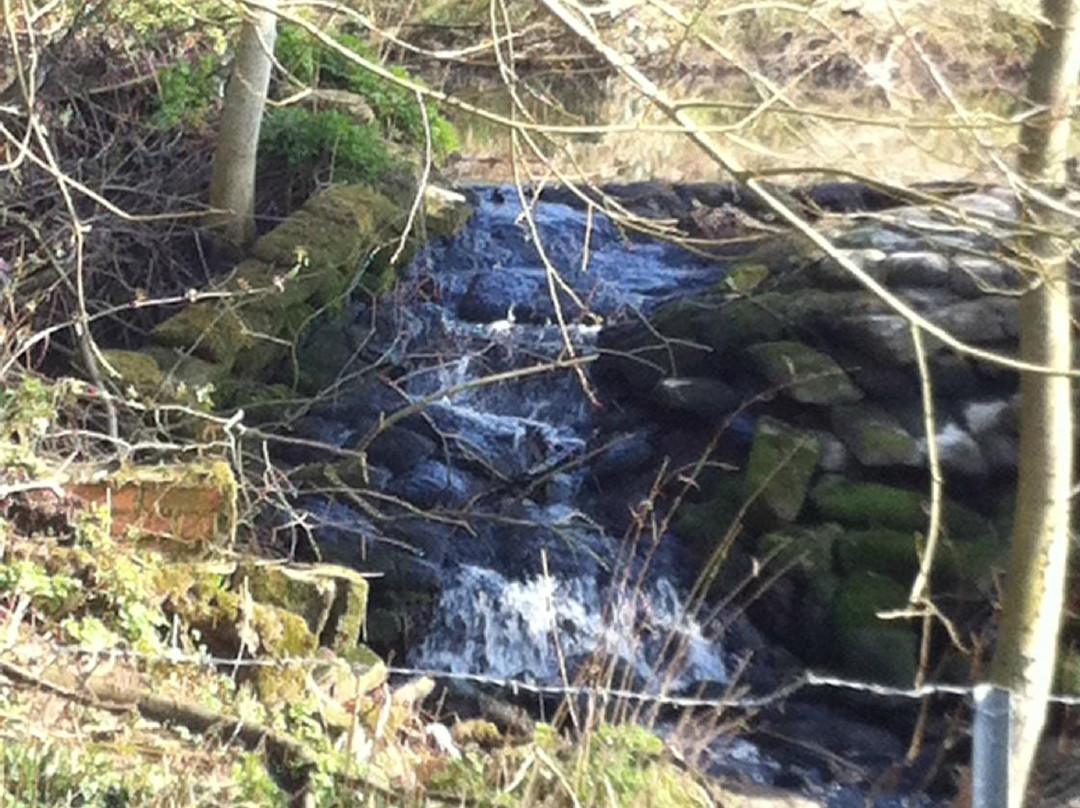 Whetmead Nature Reserve景点图片