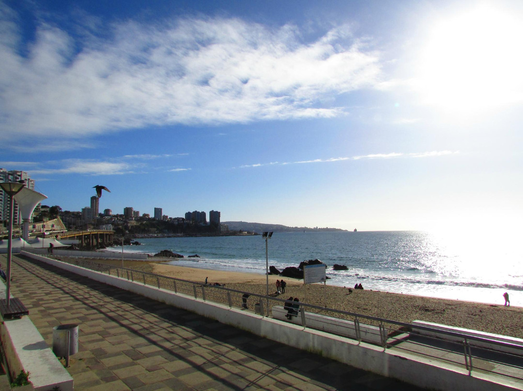 Playa Caleta Abarca-比尼亚德尔马必去景点