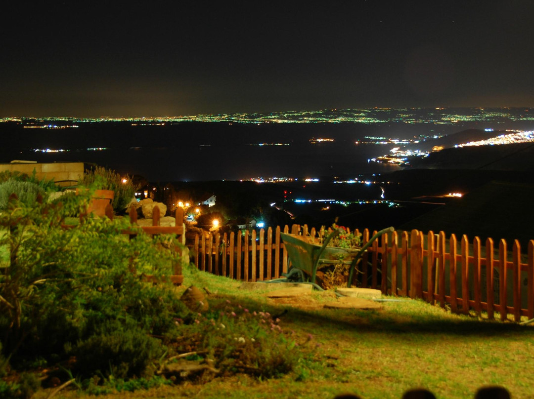 Honny's Circle主图