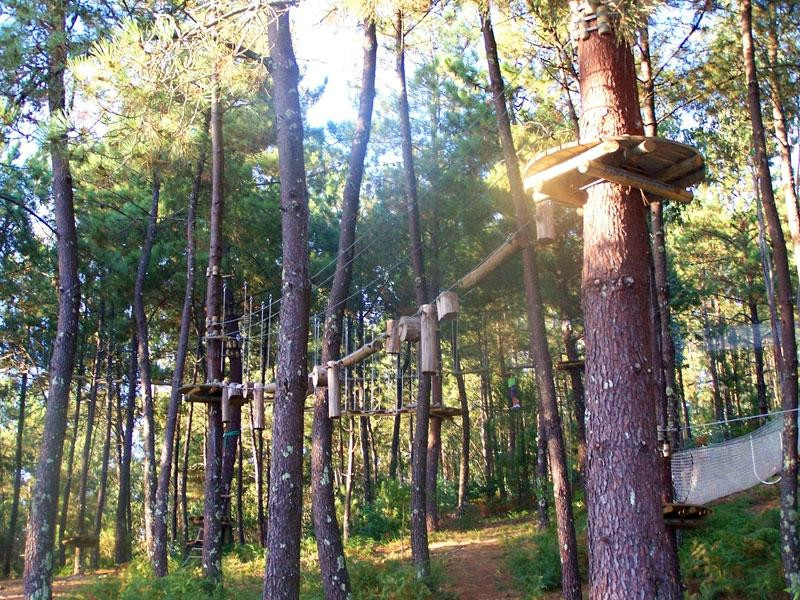 Ecoparque Municipal de Marin景点图片