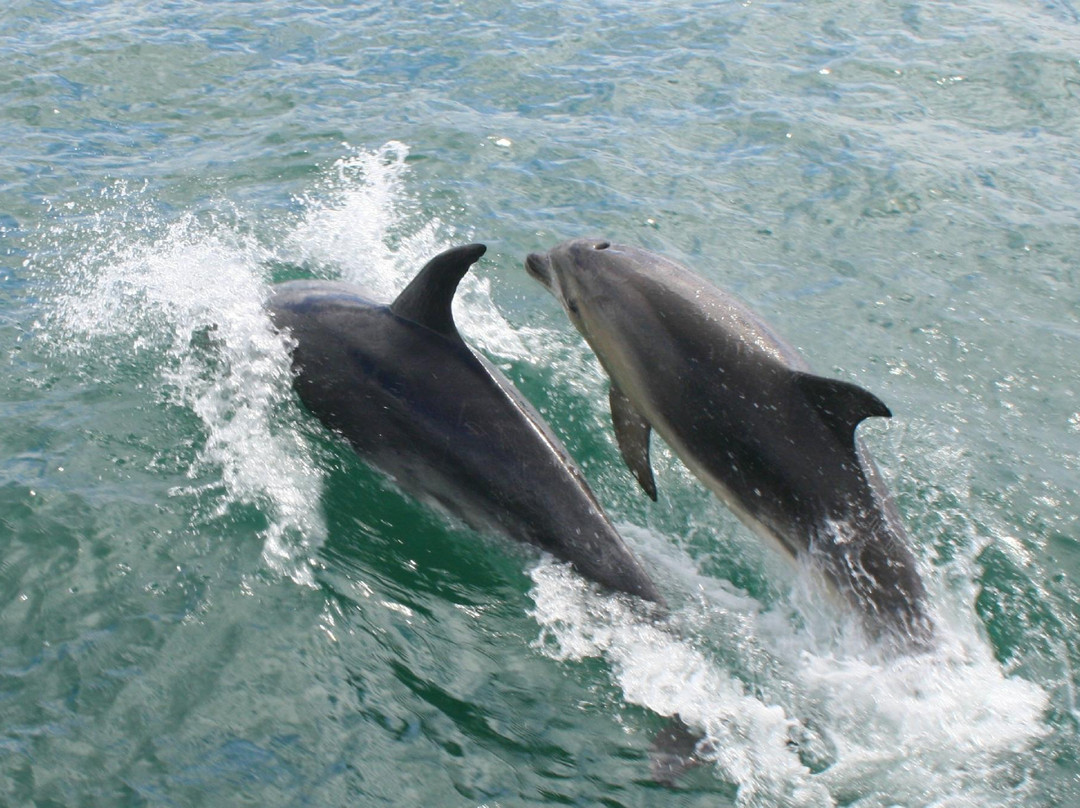 Student Trips-塔卡普纳必去景点