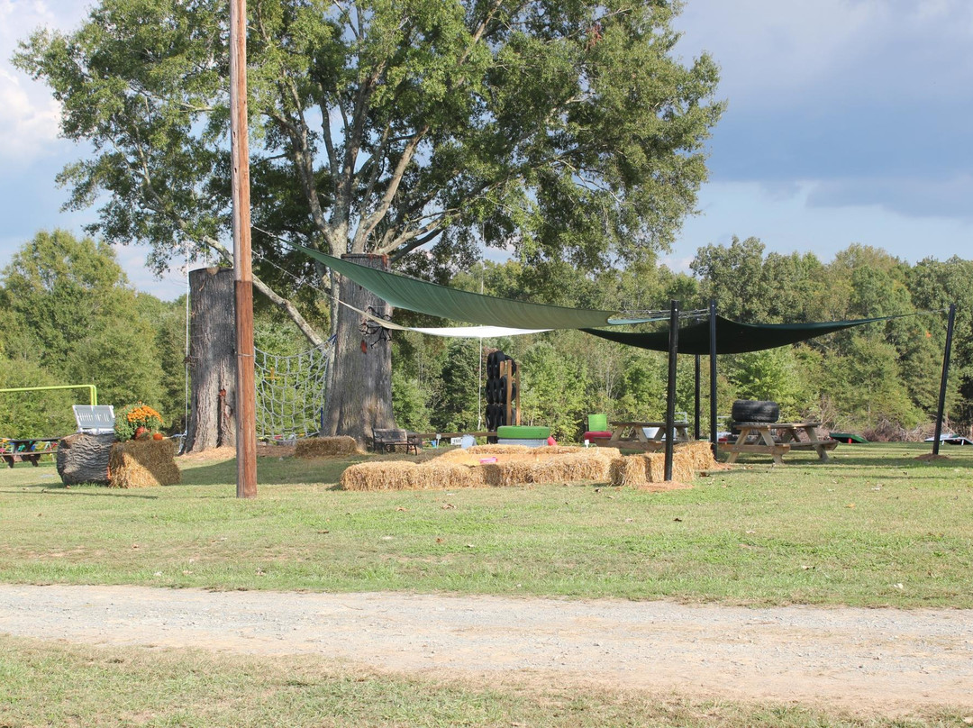 Wise Acres Organic Strawberry Farm-Indian Trail必去景点