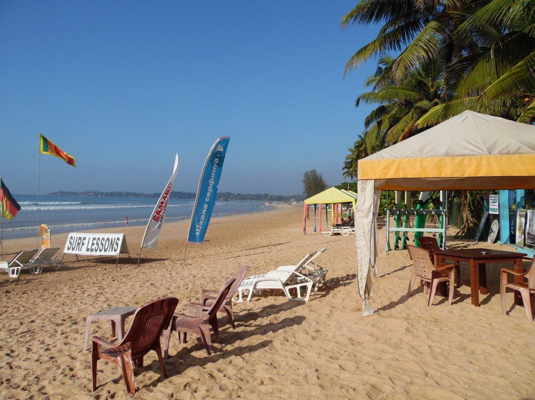 Weligama Surf Tours景点图片