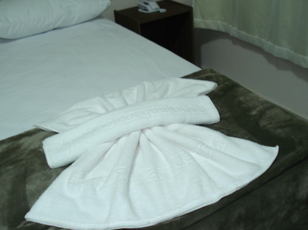 Brisa Parque Hotel主图