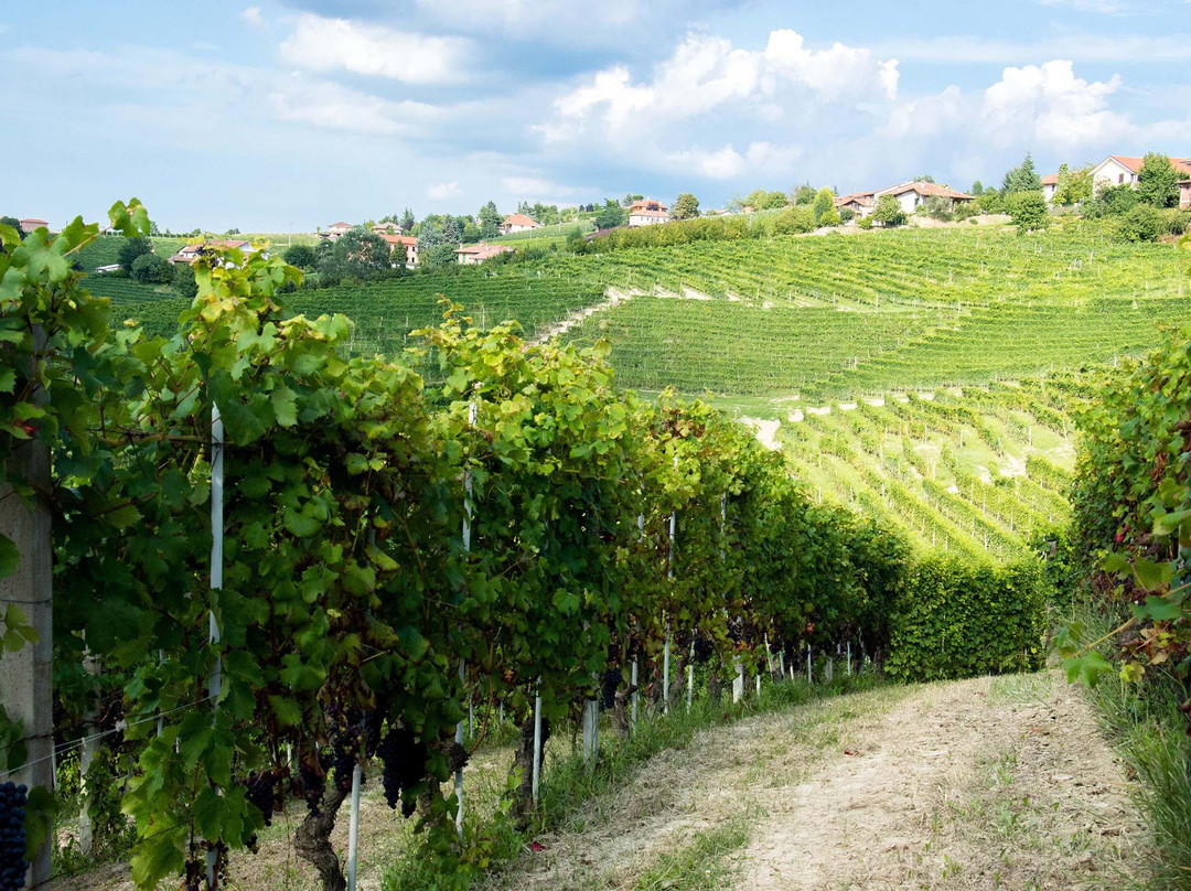 Cascina Bruciata景点图片