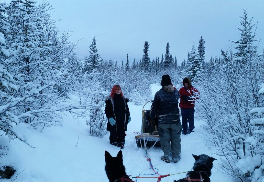 Dog Sledding Tours at EarthSong Lodge-希利必去景点