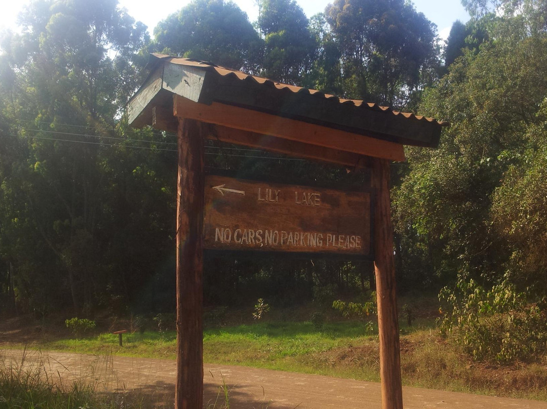 Karura森林-内罗毕必去景点