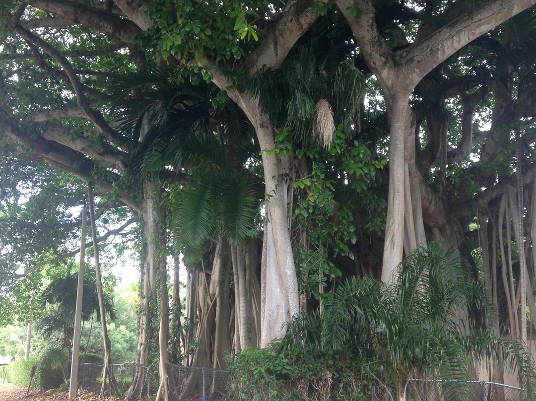 Coral Gables Merrick House and Gardens-科勒尔盖布尔斯必去景点