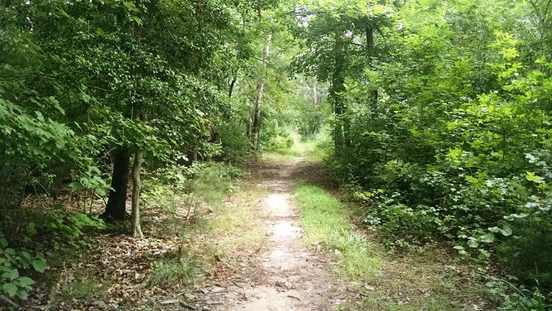 Cox Hall Creek Wildlife Management Area景点图片