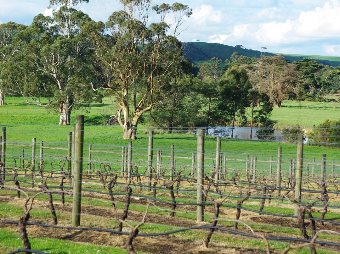 Gippsland Wine Company-Loch必去景点