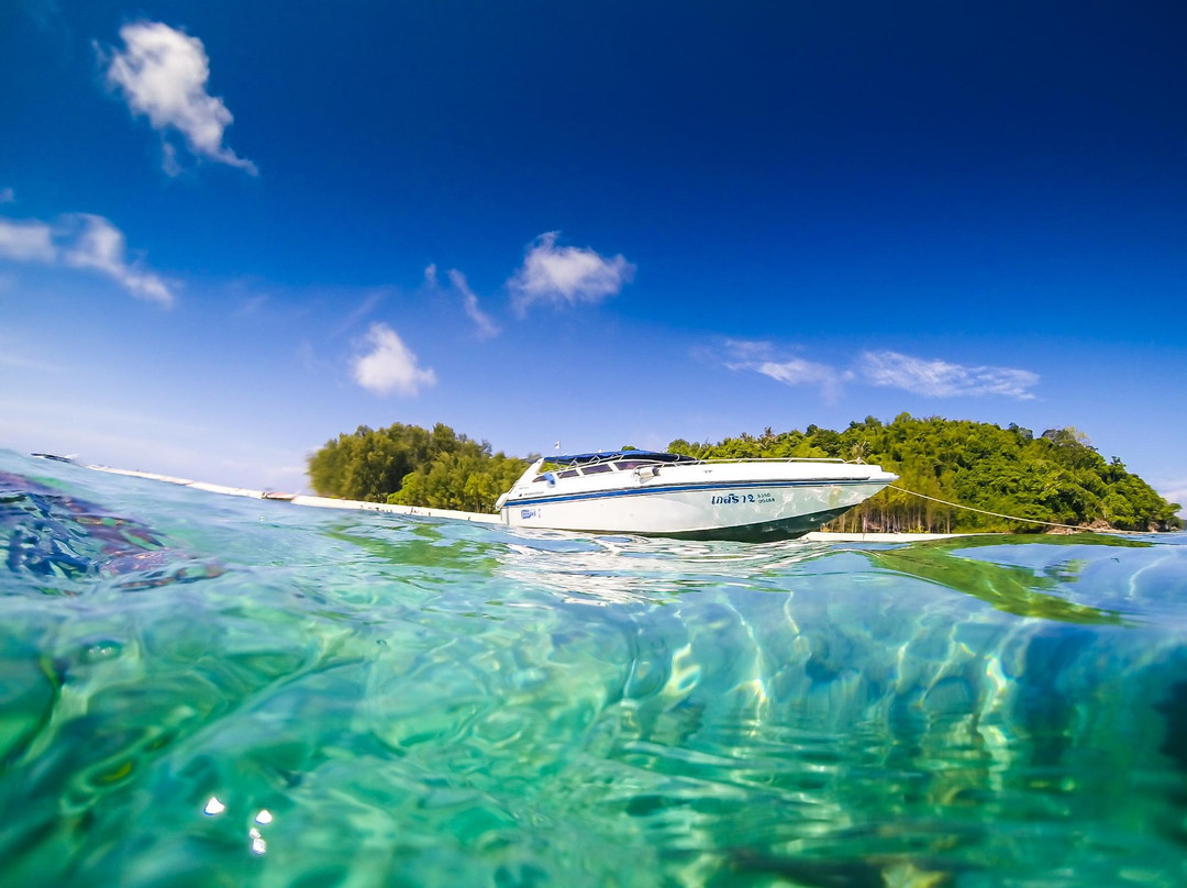 Asian Dolphins Day Tours-普吉镇必去景点