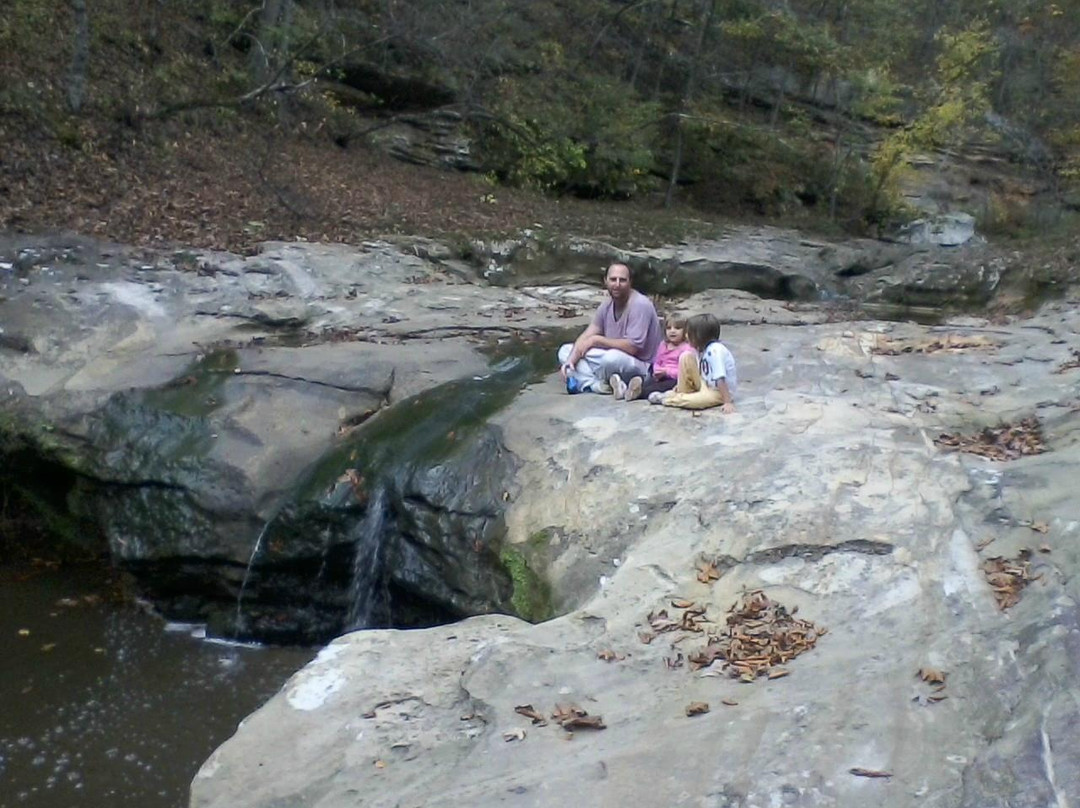 Piney Creek Ravine - State Natural Area景点图片