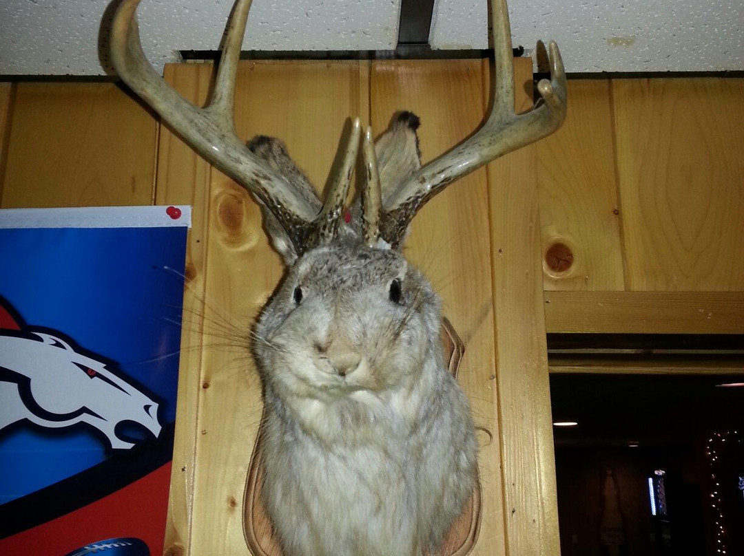 Stanford餐馆和美食-Doc's OK Korrall