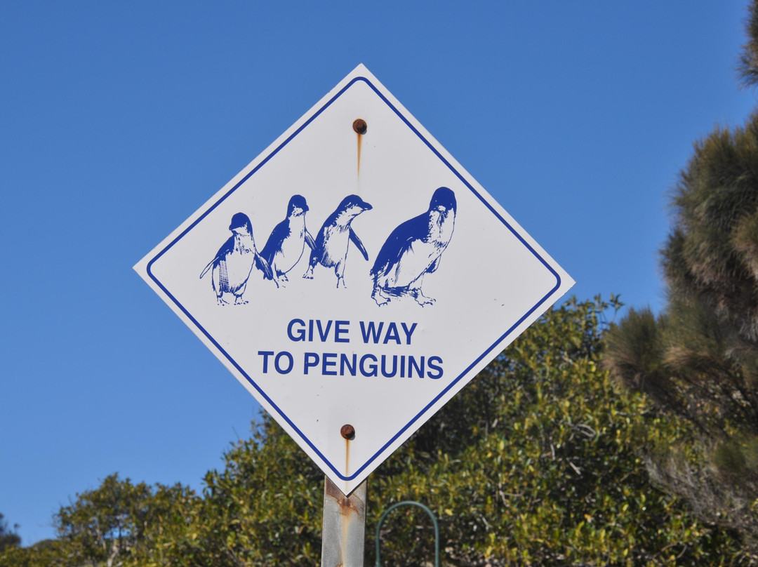 Penguin Centre景点图片