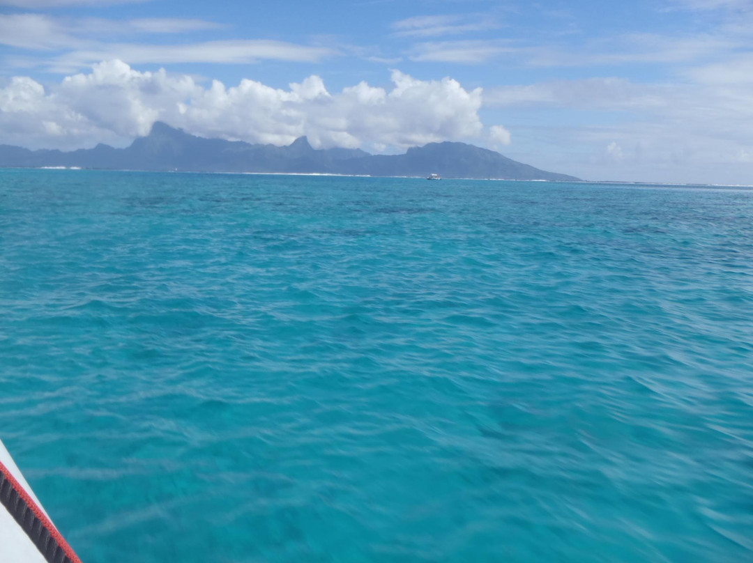 Eleuthera Tahiti Diving Center景点图片