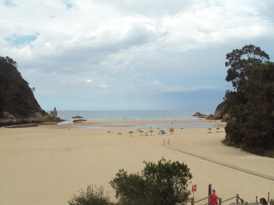 Playa de La Franca景点图片