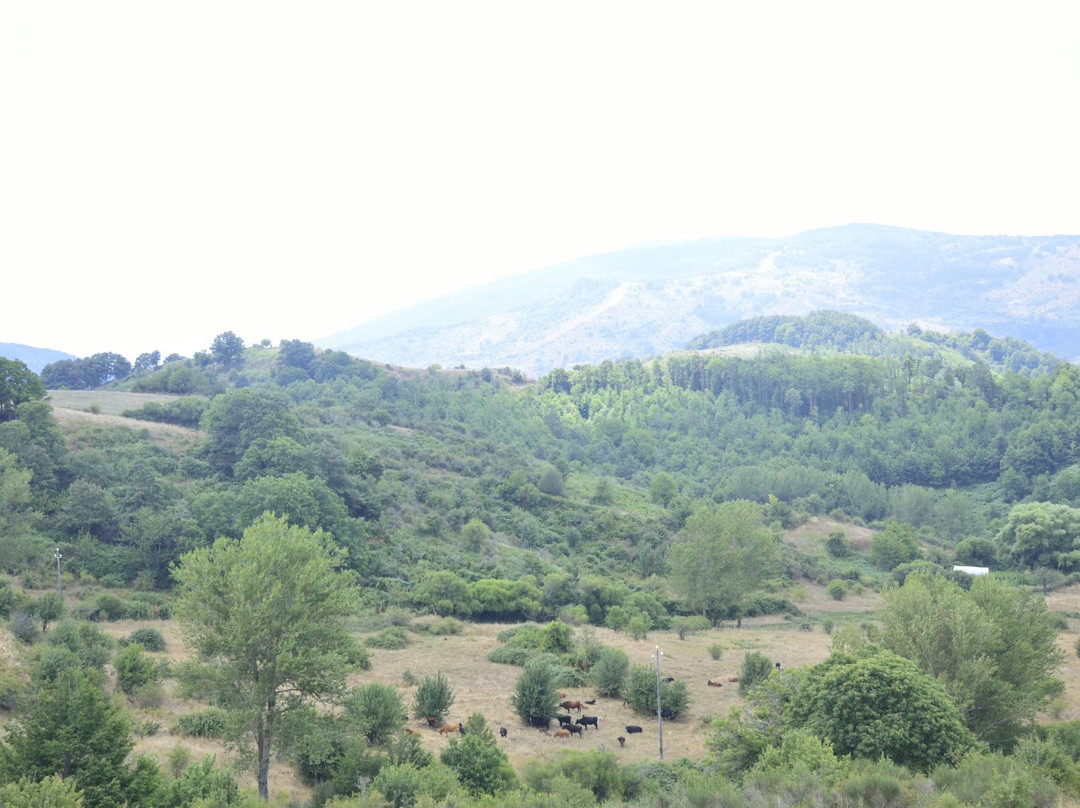 Parco dei Nebrodi-Longi必去景点