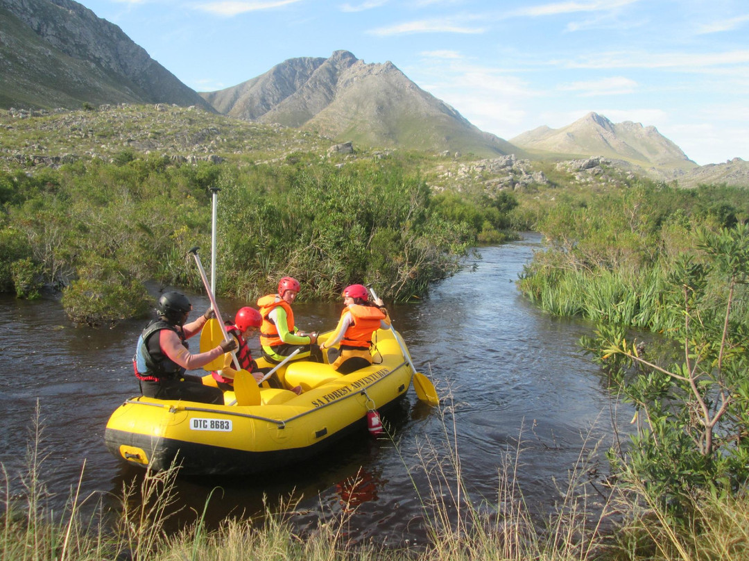 SA Forest Adventures Kleinmond-小月必去景点