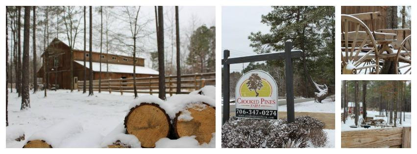 Crooked Pines Farm景点图片