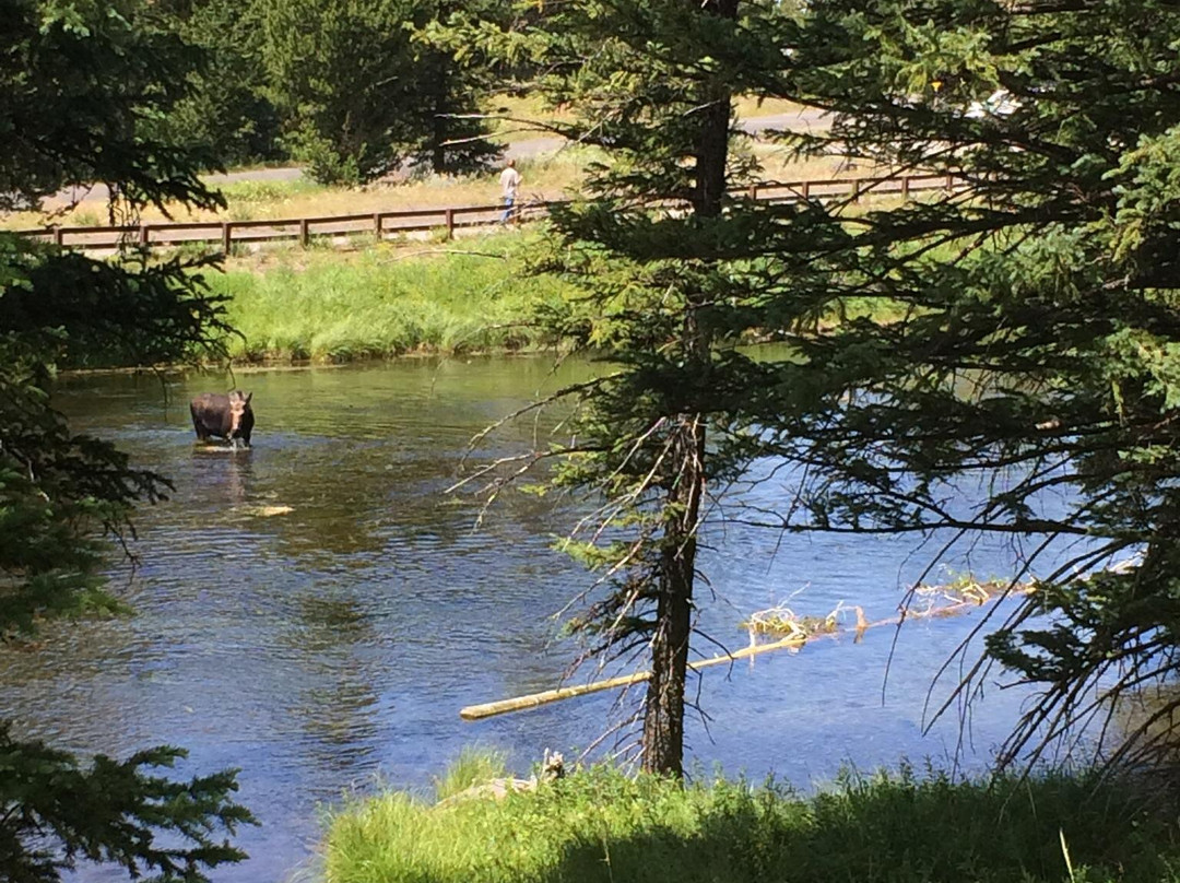 Johnny Sack Cabin-艾兰帕克必去景点